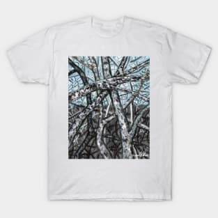 'Blue Ridge Ruminations #9' T-Shirt